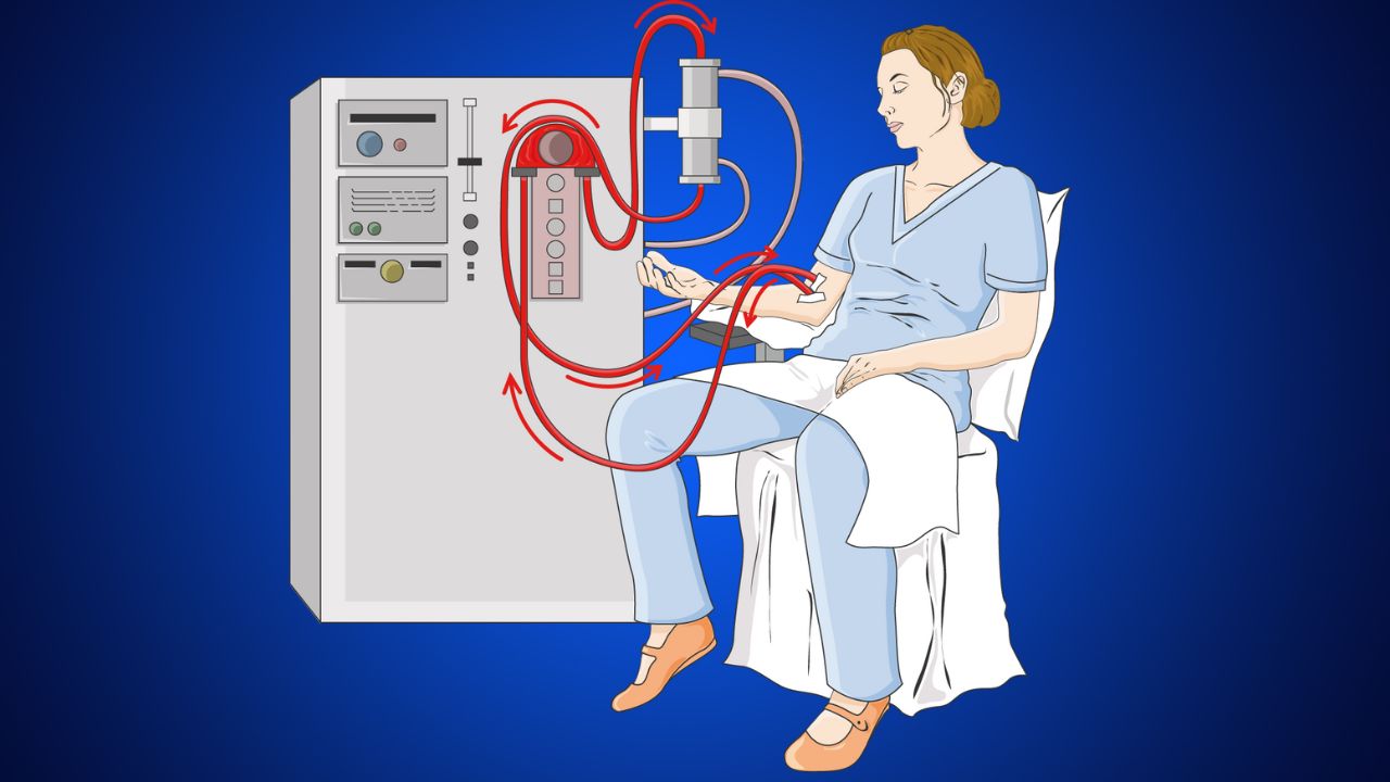 Cuci Darah Resep Herbal HNI HPAI