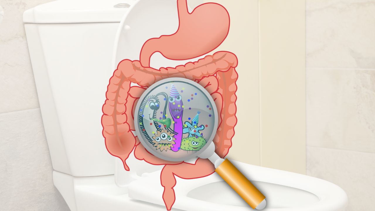 Obat Diare atau Mencret Resep Herbal HNI HPAI